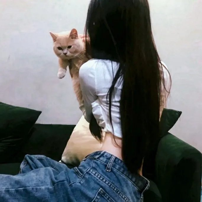 绿箭侠第八季 封面