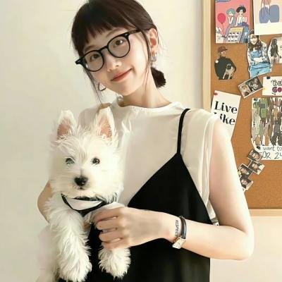 中国诗词大会第四季 封面