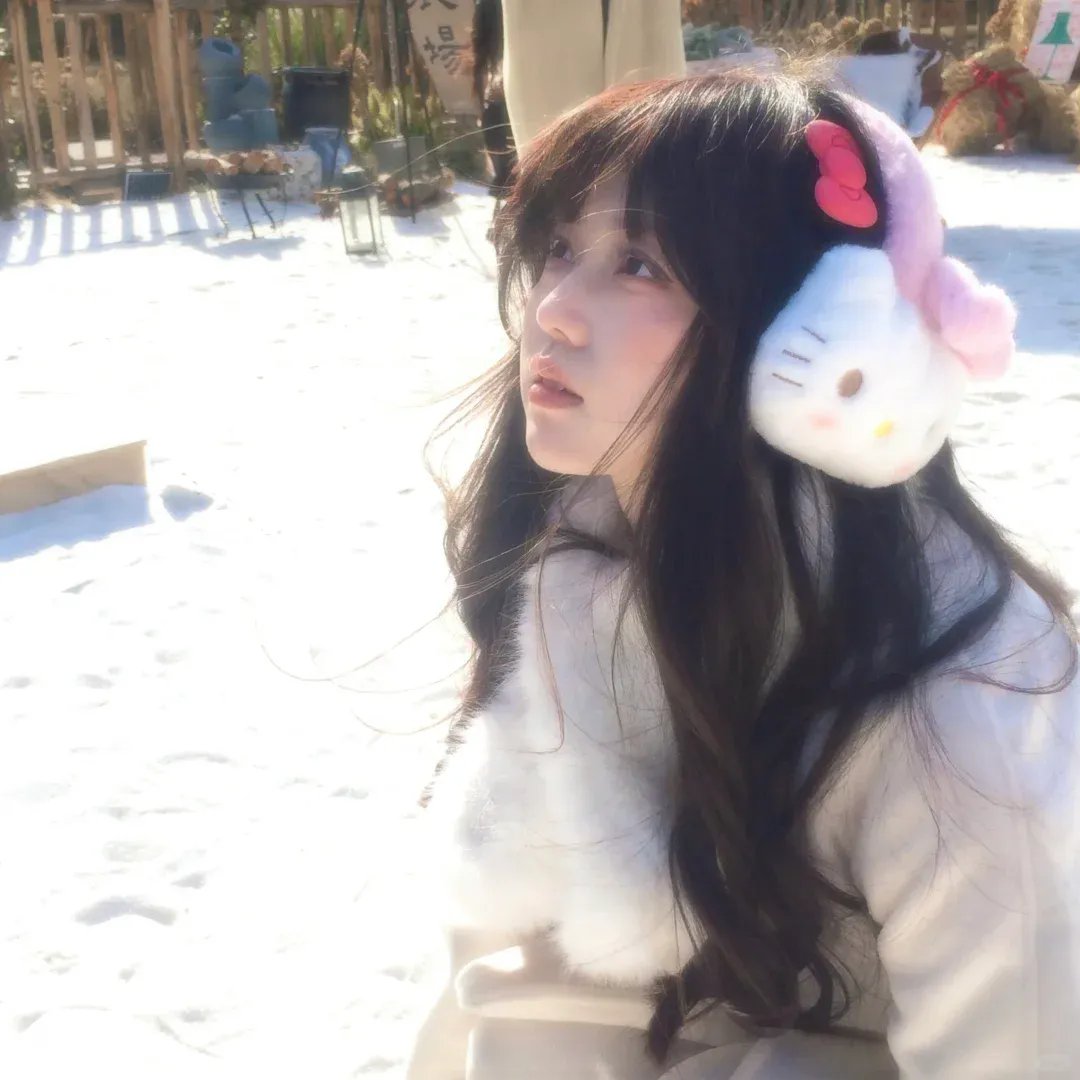 香车美人 封面